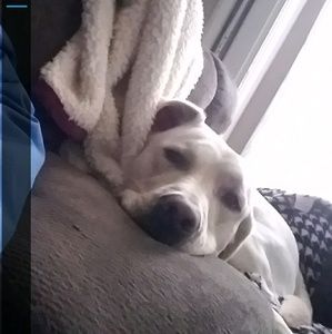 Meet your Posher, Cody